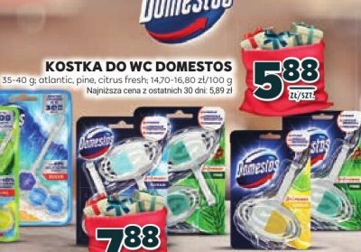 Kostka do WC Power 5 Domestos różne rodzaje promocja w Stokrotka