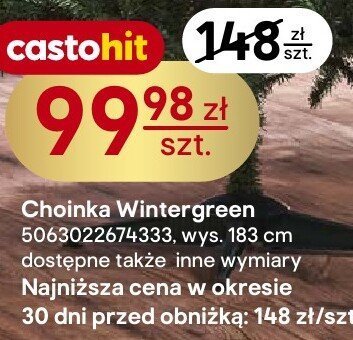 Choinka Wintergreen wys. 183 cm promocja w Castorama
