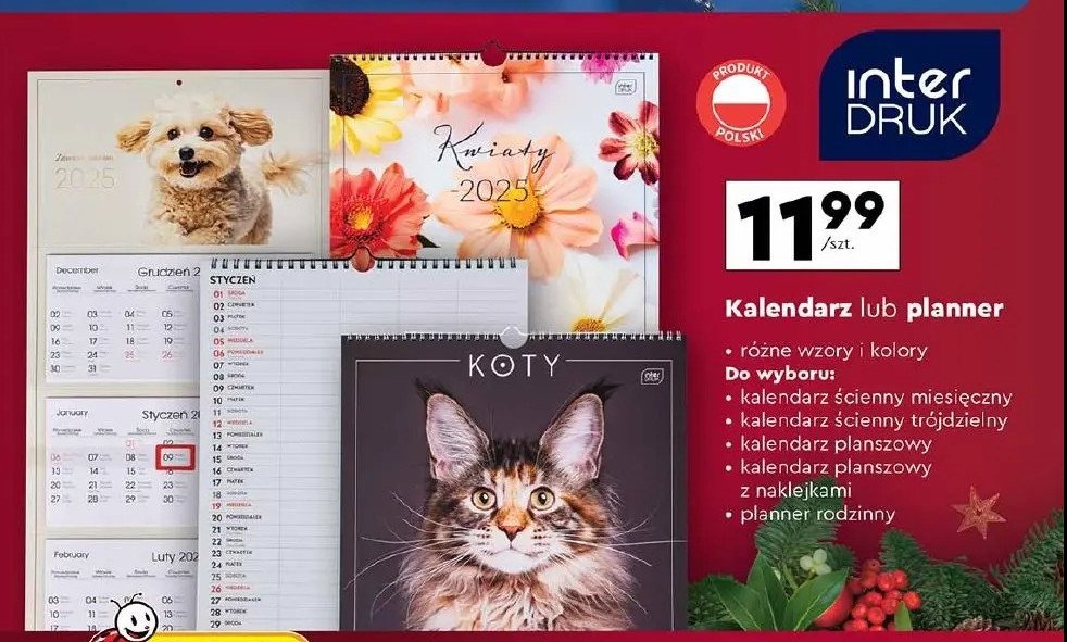 Planner rodzidnny Interdruk promocja w Biedronka