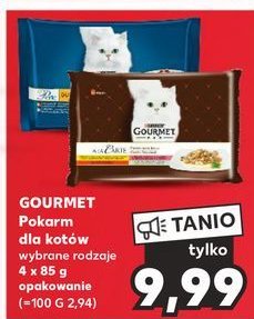 Karma dla kota rybny duet Purina gourmet perle promocja