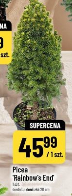 Gazetka, strona 13 promocja w POLOmarket