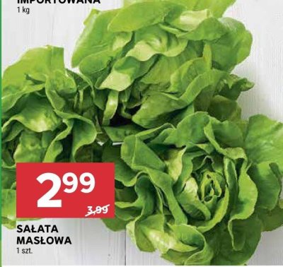 Sałata maślowa promocja w Stokrotka