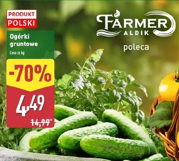 Ogórek gruntowy polska promocja