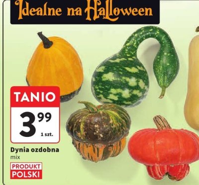 Dynia promocja w Intermarche