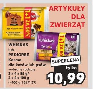 Karma dla kota smaki drobiowe w galaretce Whiskas promocja w Kaufland