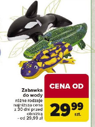 Zabawka do wody promocja w Carrefour