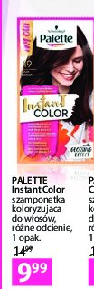Szampon do koloryzacji w艂os贸w 19 Palette instant color promocja