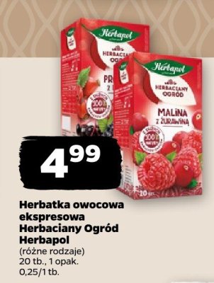 Herbata promocja w Netto