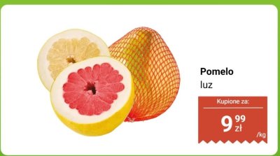 Pomelo luz promocja w Dino