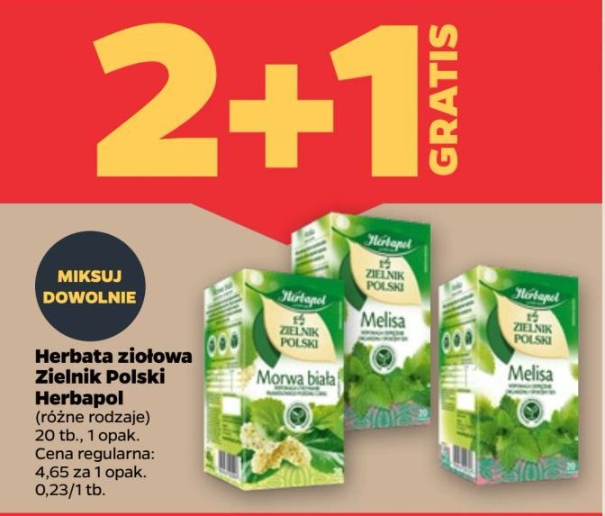 Herbatka melisa Herbapol promocja w Netto