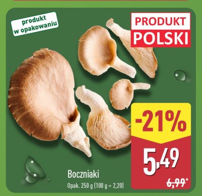 Boczniaki promocja w Aldi