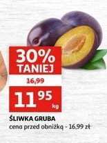 Śliwka gruba promocja w Auchan