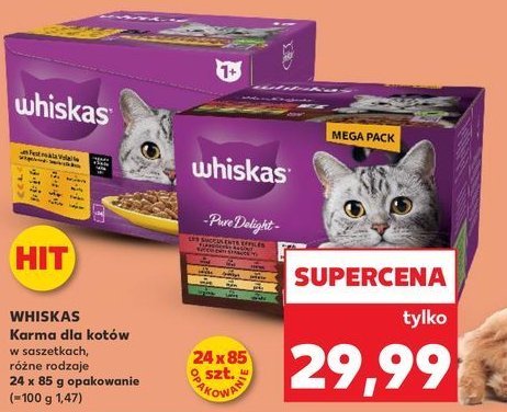 Karma dla kota smaki rybne i tradycyjne w galaretce Whiskas promocja