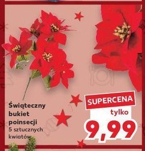 Bukiet poisencja promocja w Kaufland