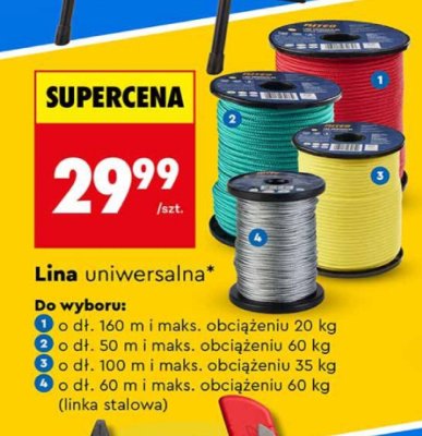Lina uniwersalna Niteo promocja w Biedronka