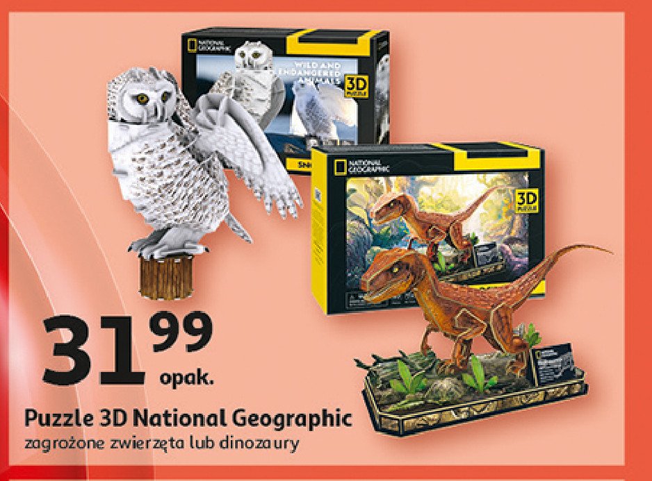 Puzzle 3d dinozaury NATIONAL GEOGRAPHIC promocja w Auchan