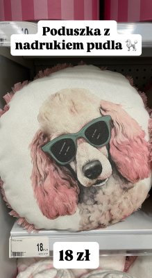 Poduszka z nadrukiem pudla promocja w Dealz
