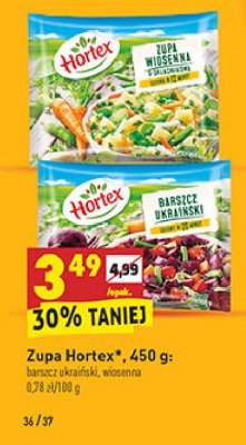 Zupa wiosenna 9-składnikowa Hortex promocja
