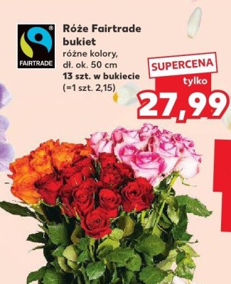 Róże bukiet różne kolory promocja w Kaufland