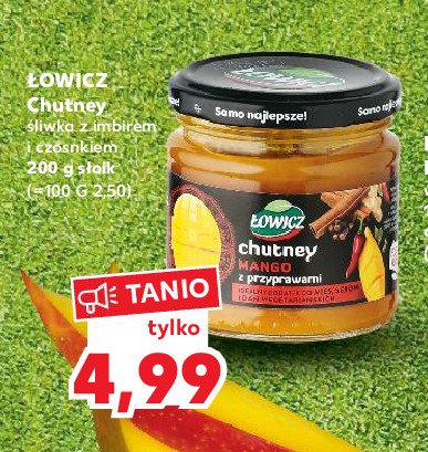 Sos chutney śliwka z imbirem i czosnkiem Łowicz promocja