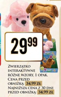 Zwierzątko interaktywne różne wzory promocja w Dino