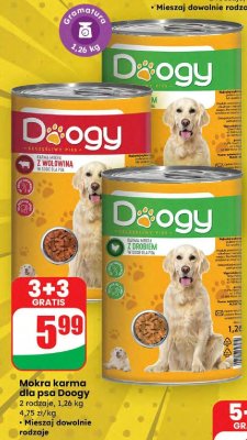Mokra karma dla psa Doogy promocja w Dino