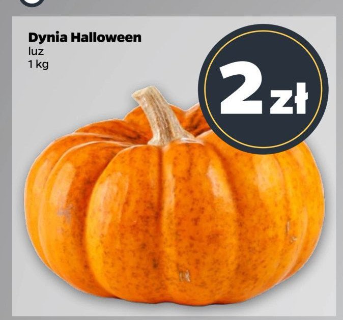 Dynia halloween promocja