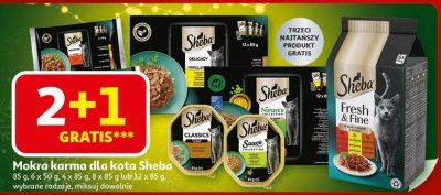 Mokra karma dla kota Sheba różne rodzaje promocja w Auchan