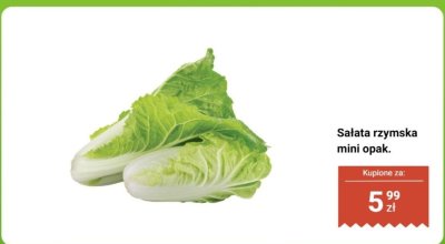 Sałata rzymska mini opak. promocja w Biedronka