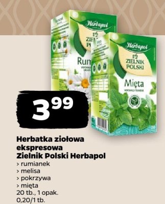 Herbatka ziołowa ekspresowa Zielnik Polski melisa promocja w Netto