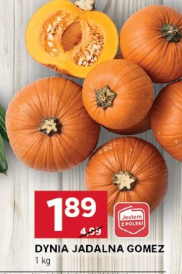Dynia promocja w Stokrotka