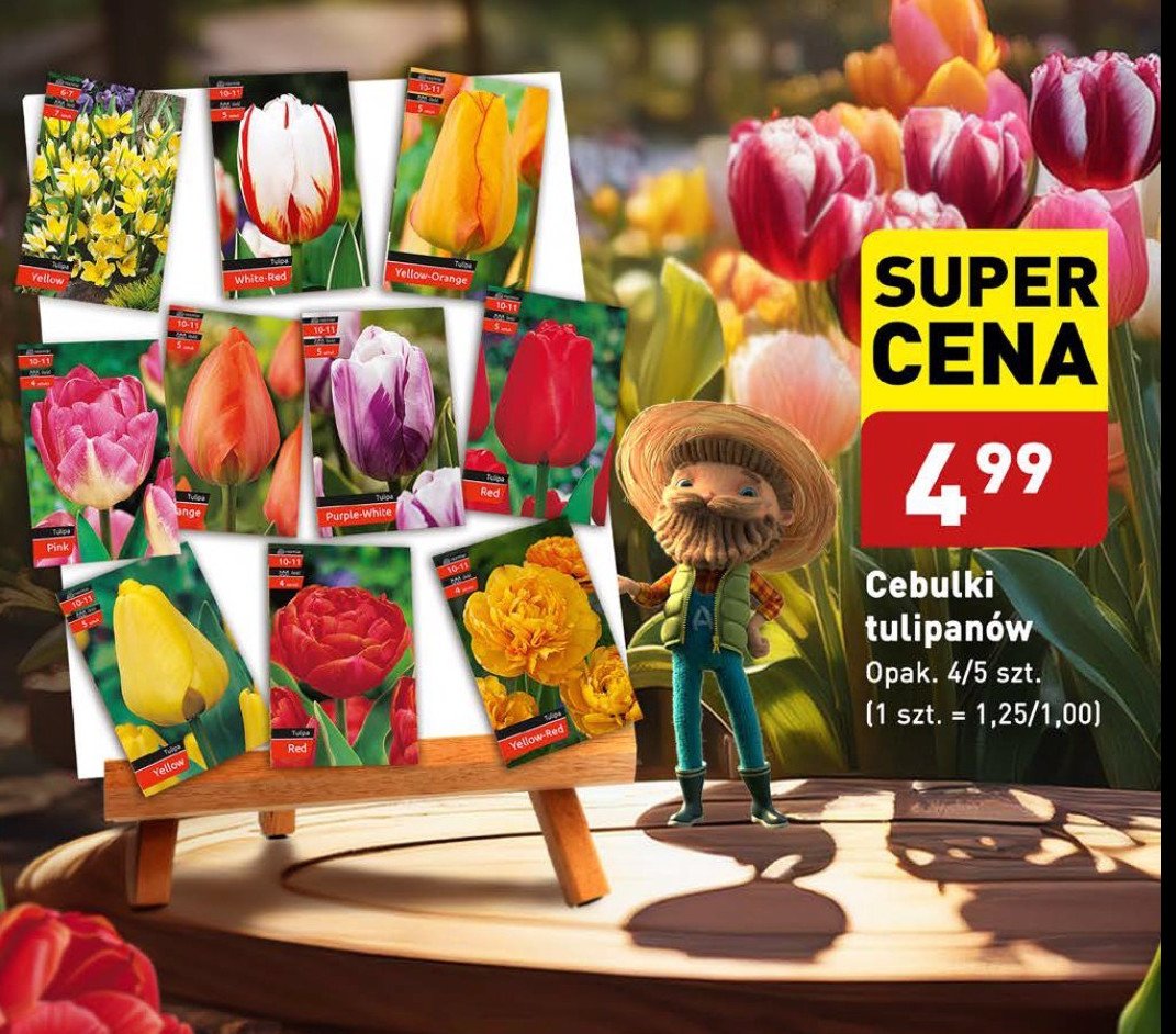 Cebulki tulipanów promocja