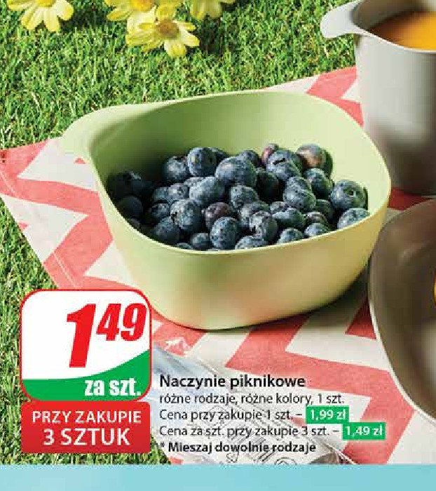 Naczynie piknikowe promocja
