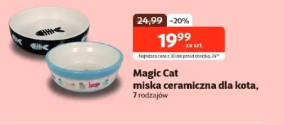 Miska ceramiczna dla kota promocja w KAKADU