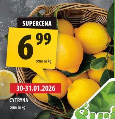 Cytryna promocja w Arhelan