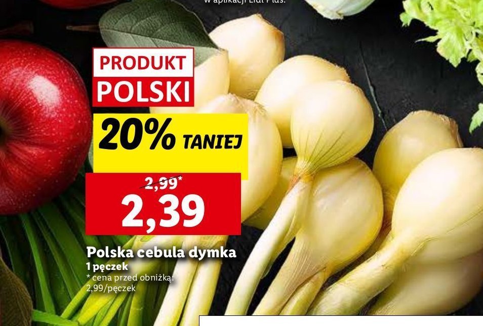 Cebula dymka polska promocja