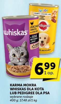 Karma mokra Whiskas dla kota promocja w Euro Sklep