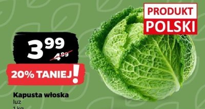 Kapusta włoska luz promocja w Netto