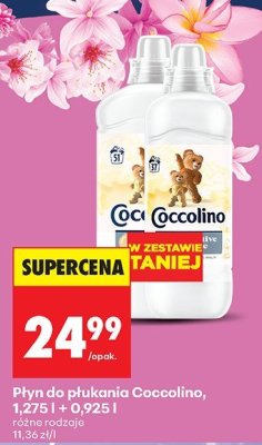 Płyn do płukania różne rodzaje promocja w Biedronka