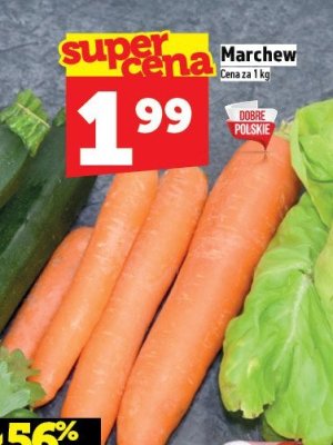 Marchewka młoda promocja w TOPAZ