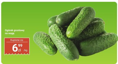 Ogórek gruntowy na wagę promocja w Dino