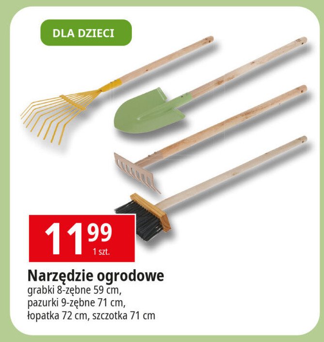 Pazurki 71 cm promocja w Leclerc