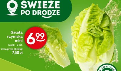 Sałata promocja w Żabka