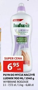 Balsam do naczyń lawendowy Ludwik promocja