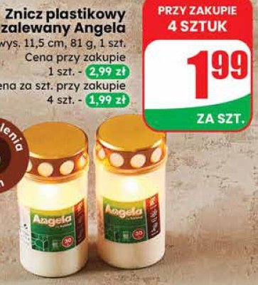 Znicz promocja w Dino