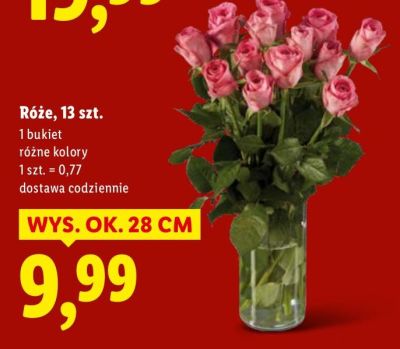 Róże bukiet 13 szt. promocja w Lidl