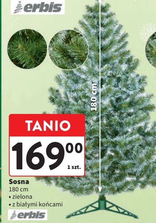 Sosna 180 cm ERBIS promocja w Intermarche