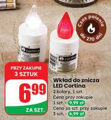 Znicz promocja w Dino