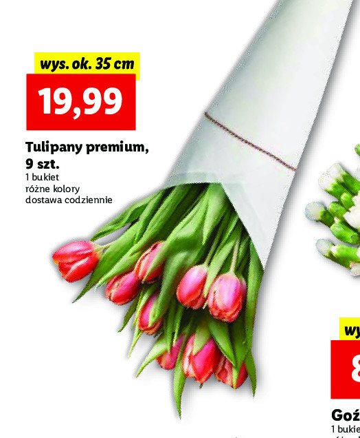 Tulipany premium 35 cm promocje