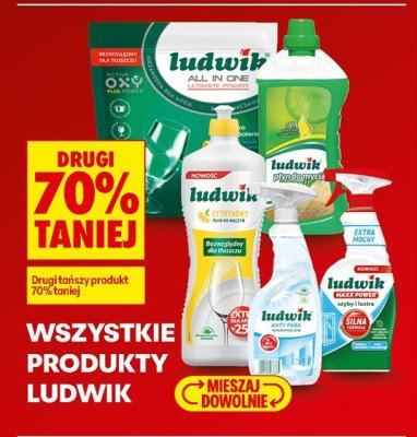 Środki czystości Ludwik drugi -70% promocja w Biedronka